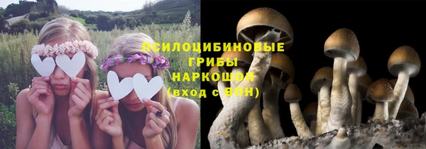 mix Мегион