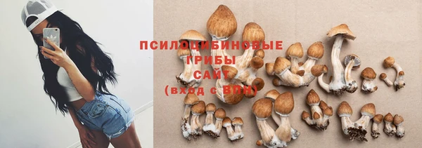 эйфоретик Алзамай