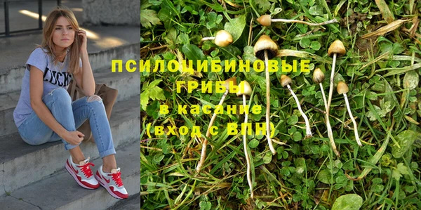 Альфа ПВП Михайлов
